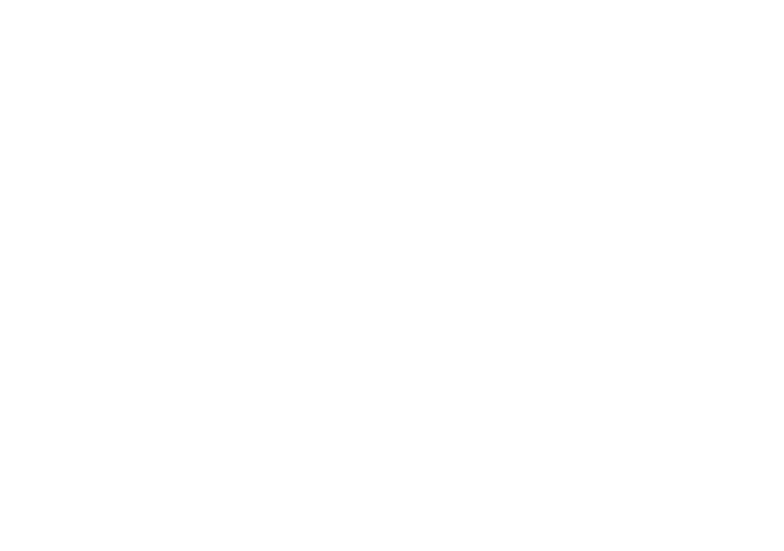 VXV Project