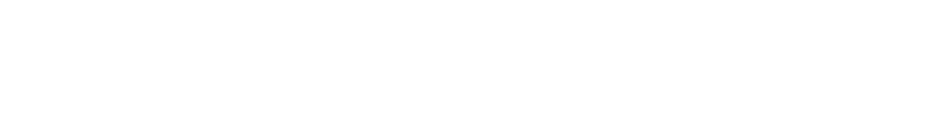 VXV Project